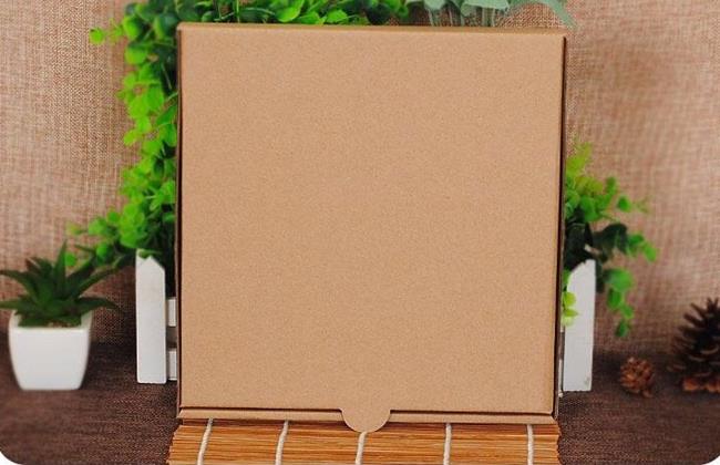 Free Shipping 100pcs/lot Kraft Pizza Box Blank No Printing Party Food Packaging Box (6